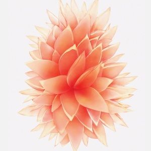 Meet your Posher, Emina